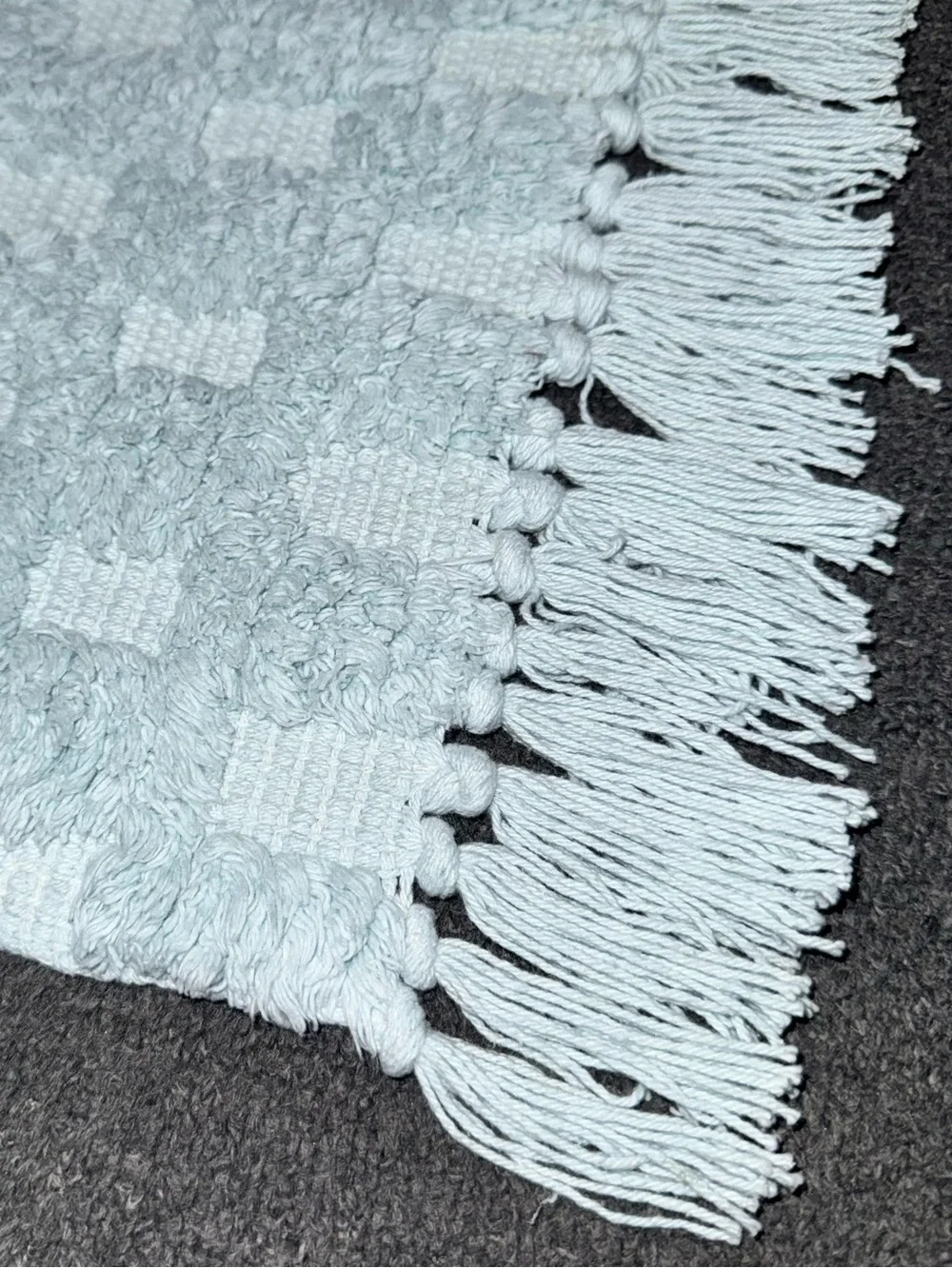 Home Collections Checkered Fringe Bath Mat Cotton Aqua 18x28 NWT